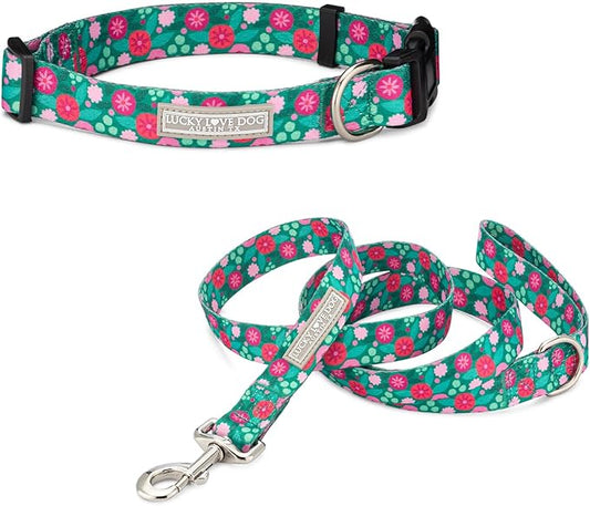 Lucky Love Dog - Adjustable Dog Collar and Leash Set with Easy Click Buckle for Small to Large Dogs, Durable, & Comfortable Collar for Male & Female Dogs, Puppies & Adult Ones - Penny Combo, Large