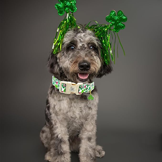 Elegant little tail St Patrick's Dog Collar-Green Cute Colver Cotton Shamrock Pet Collar Trefoil Holiday Adjustable Cotton Pet Collar with Quick Release Buckle for Small Medium Large Dogs