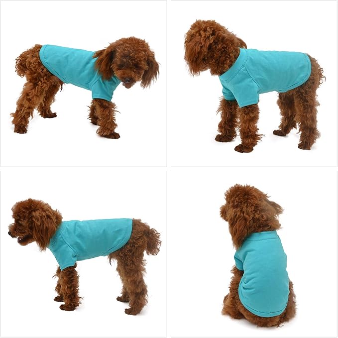 Lovelonglong Pet Clothing Dog Costumes Basic Blank T-Shirt Tee Shirts for Small Dogs Turquoise M