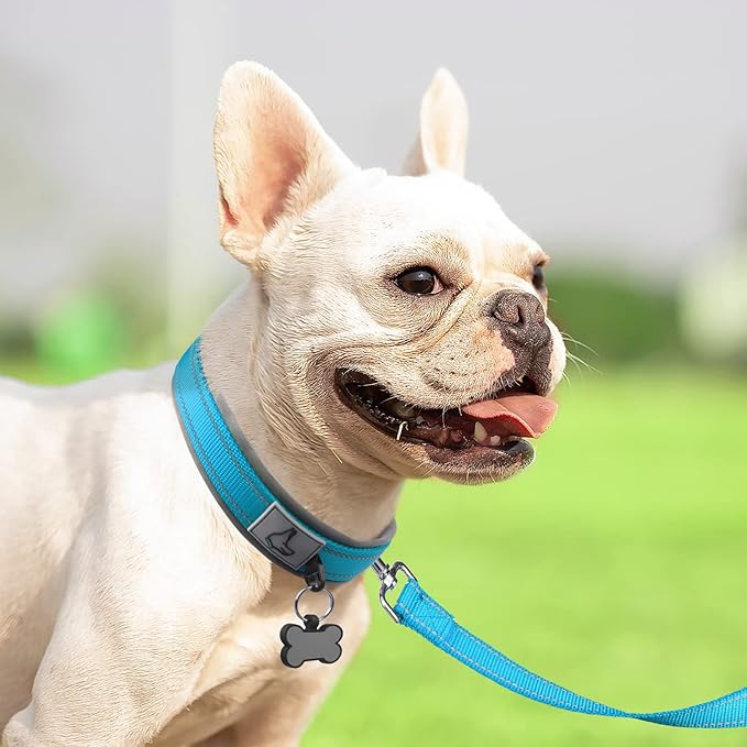 Joytale Dog Collar for Small Dogs, Neoprene Padded and Adjustable, Reflective Wide Heavy Duty Pet Collars with Durable Metal Belt Buckle for Walking, Sky Blue, S