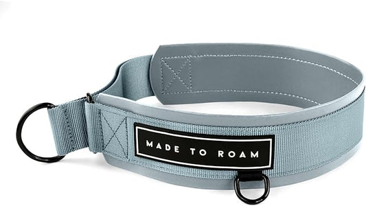 MADE TO ROAM Premium Everyday Dog Collar - Martingale Style No Pull Vegan Leather Collar, Heavy Duty and Lightweight for Small, Medium, Large Dogs (Virginia Mountains, Size 5)