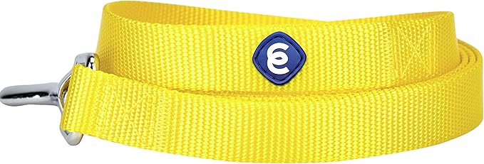 Blueberry Pet Essentials Durable Classic Dog Leash | Basic Nylon Dog Leash | 5ft. x 3/8" X-Small Dog Leash | Blazing Yellow Dog Leash | Standard Dog Leashes & Lightweight Dog Leash for Training