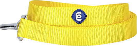 Blueberry Pet Essentials Durable Classic Dog Leash | Basic Nylon Dog Leash | 5ft. x 3/8" X-Small Dog Leash | Blazing Yellow Dog Leash | Standard Dog Leashes & Lightweight Dog Leash for Training