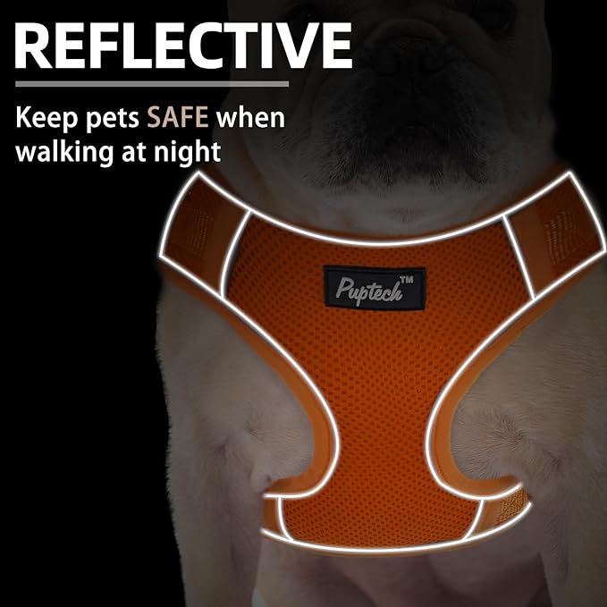 PUPTECK Dog Harness and Leash Set for Small Medium Dogs No Pull, Soft Mesh Adjustable Puppy Cat Harness Reflective at Night, Orange S