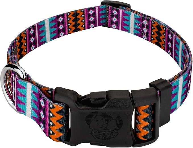 Country Brook Petz - Deluxe Santa Fe Dog Collar - Made in The U.S.A. - Country and Western Collection Featuring Rustic Designs (1 Inch, Medium)