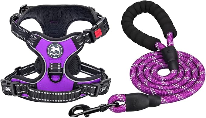 PoyPet Dog Harness and Leash Combo, Escape Proof No Pull Vest Harness, with 5 Feet Leash, Reflective Adjustable Soft Padded Pet Harness with Handle for Small to Large Dogs(Purple,S)