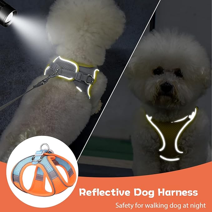 Soft Small Dog Harness and Leash Set Mesh Puppy Harnesses Leash Easy Walk Dog Harness Vest Adjustable Reflective No Pull Dog Harnesses for Small Dogs Cats (Orange Blue,XXS)
