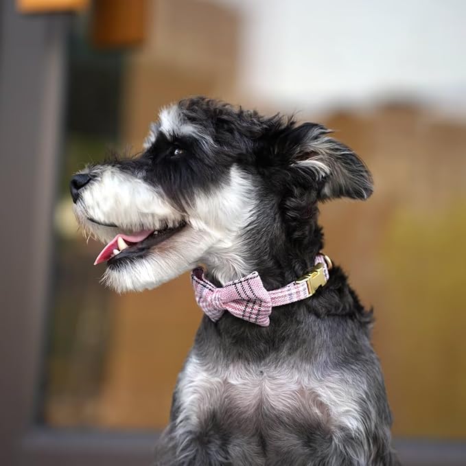 Beirui Cute Small Dog Harness Collar and Leash Set with Bowtie, Soft Adjustable Pink Puppy Harness for Small Sized Dogs Cats Walks Parties and Photoshoots(Pink,XS:Chest 13-18")