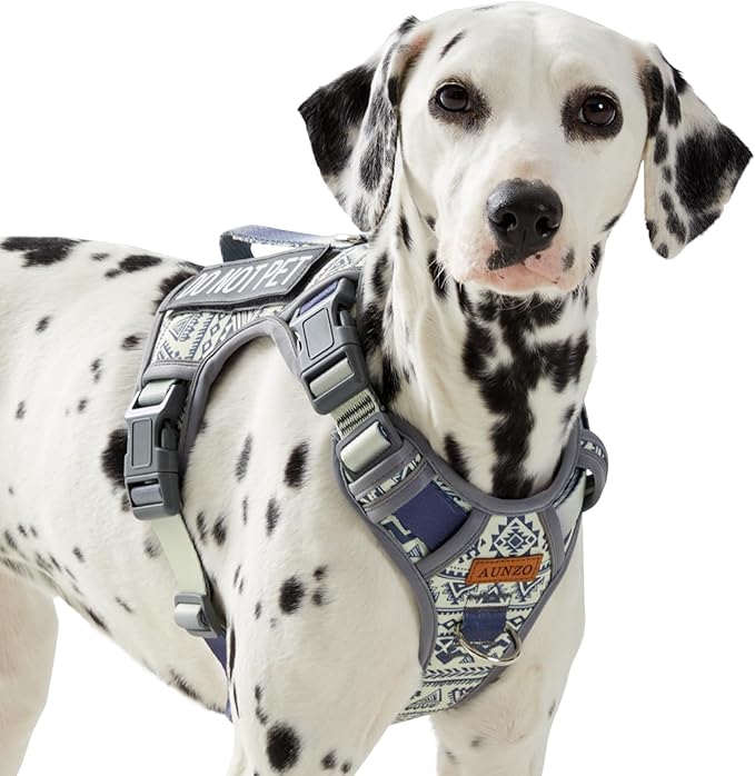 Tactical Dog Harness for Medium Large Dogs, No-Pull Pet Harness with 2 Leash Clips, Adjustable Soft Padded Dog Vest, Reflective Pet Oxford Vest with Easy Control Handle for Medium Dogs, Gray M