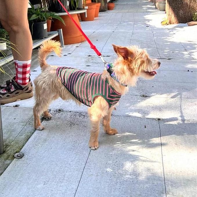 Little Beast Dog Clothes - Pet Clothes for Large, Medium, and Small Dogs (Dog Shirts Come in Multiple Colors and Styles) - Size: XX-Large Dogs, Dark Green/Red