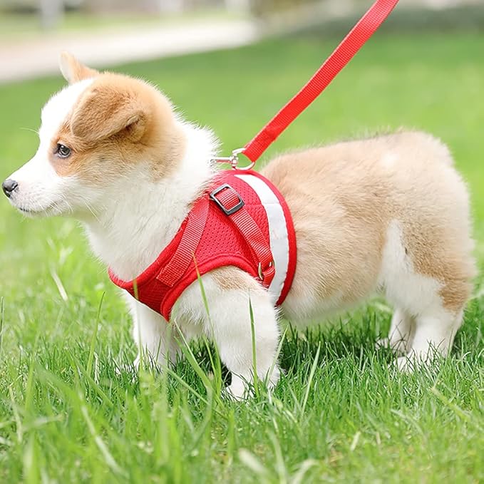 FEimaX Dog Harness and Leash Set for Walking, Soft Mesh Adjustable Easy Control Lightweight Cat Vest Harnesses with Reflective Strips, Escape Proof Small Dogs Cats Vests (Red, Small)