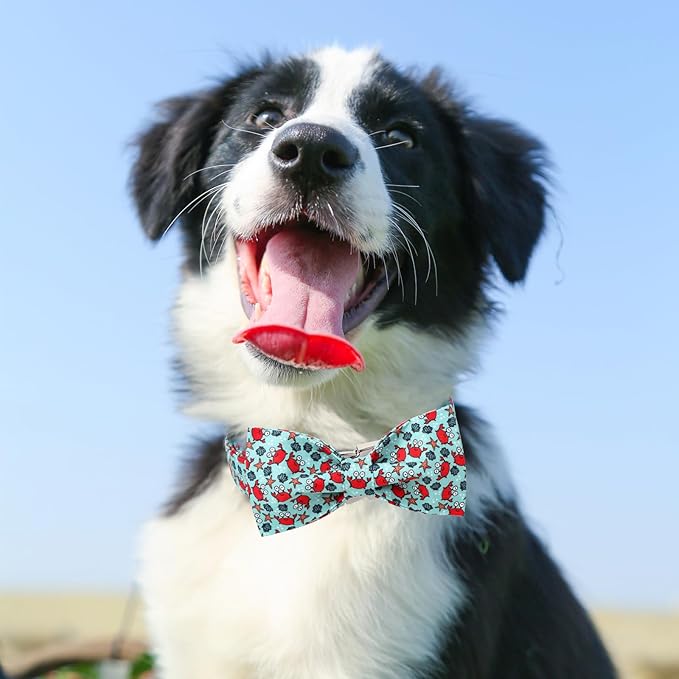 Summer Dog Collar with Bow Tie, Crab Pattern Bow Tie Dog Collar with Metal Buckle,Adjustable Pet Collar for Small,Medium,Large Dogs&Cats,Great Gift for Puppies