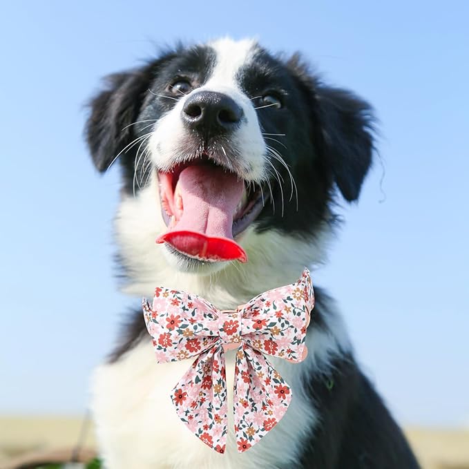 Dog Collar with Bow Tie,UP URARA PUP Flower Bowtie Dog Collar, Summer Bowtie Collar for Puppy Boy Girl Dog, Comfortable Cotton Dog Collar with Metal Buckle,M,Neck 13.5-22in, Medium, PinkYe CS