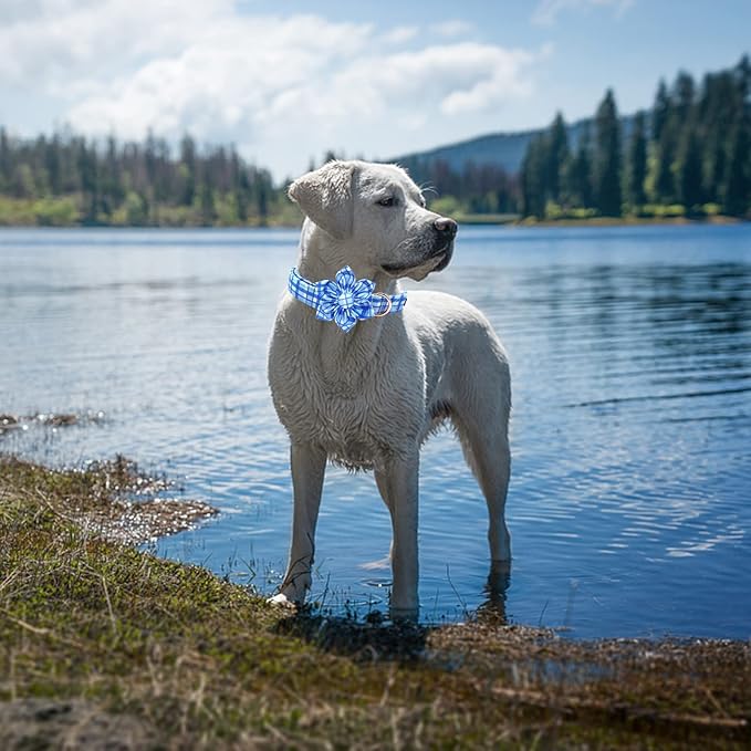 Elegant Little Tail Blue Plaid Adjustable Flower Collar for X-Large Dog