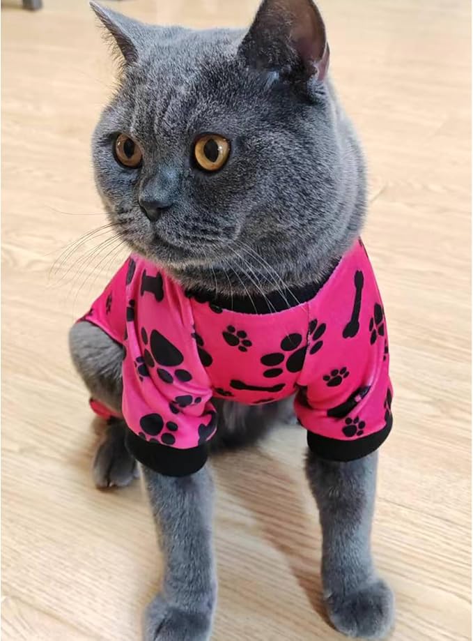 PET SHOW 4 Pack Small Dog Pajamas Paw Bone Patterns Cute Clothes for Medium Dogs Soft Stretchy PJs 4 Legged Jumpsuit Puppy Cats Onesies Outfits with Sleeve Dachshund Doggies Girl Boy (X-Small)