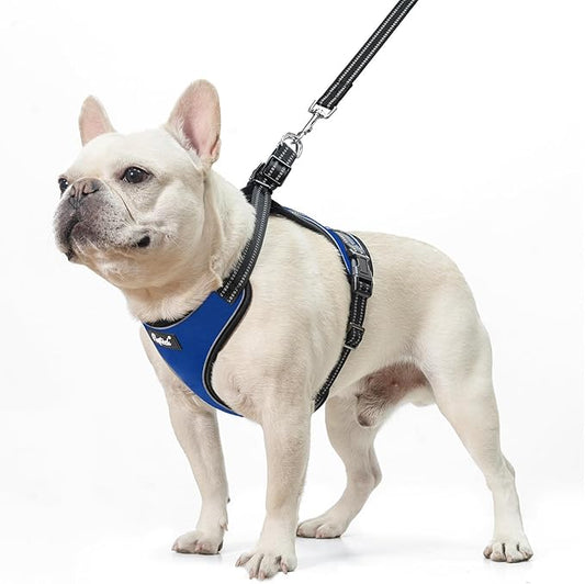 PUPTECK Dog Harness and Leash Set for Small Medium Sized Dogs, No Pull Dog Harness for Walking Training, Adjustable Reflective Puppy French Bulldog Frenchie Harness Soft Padded Vest, Blue, M