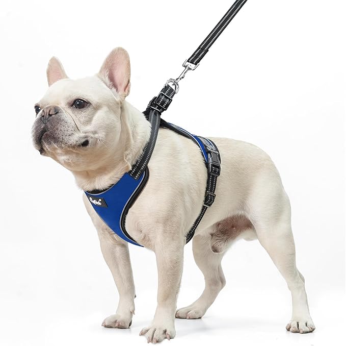 PUPTECK Dog Harness and Leash Set for Small Medium Sized Dogs, No Pull Dog Harness for Walking Training, Adjustable Reflective Puppy French Bulldog Frenchie Harness Soft Padded Vest, Blue, S