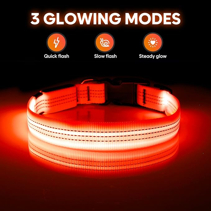 USB Rechargeable LED Dog Collar - Light Up Dog Collar for Small Dogs, Reflective Adjustable Safety Dog Collar Lights for Night Walking (OrangeⅢ, Small)