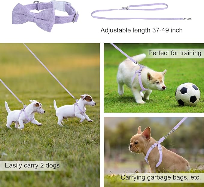 Dog Harness and Leash Set, XS No Pull Adjustable Puppy Harness with Multifunction Purple Dog Leash and Collar, Soft No Choke Escape Proof Pet Harness Vest for Small Dogs and Cats (Purple, XS)