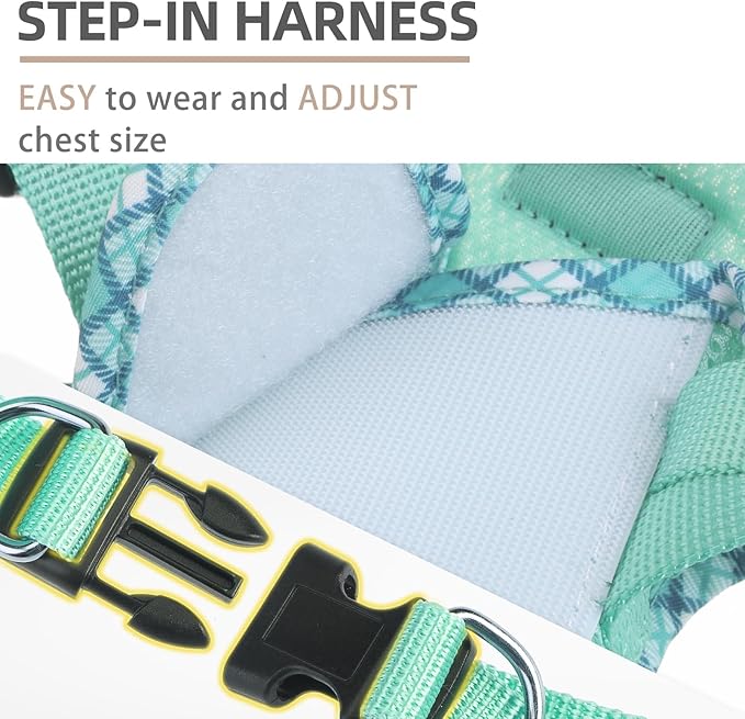 PUPTECK Dog Harness and Leash Set for Small Medium Dogs No Pull Step-in Soft Mesh Puppy Cat Vest Harnesses Reflective at Night, Upgraded New Green M
