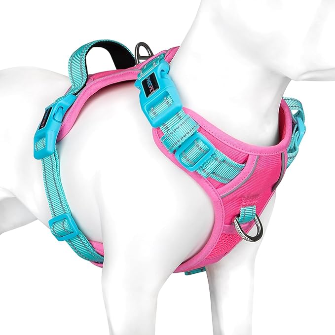PHOEPET No Pull Dog Harness, Unique Colors Reflective Adjustable Dog Vest, with Soft Training Handle Metal Clips for Small Medium Large Dogs (Pink Base & Green Straps,XS)