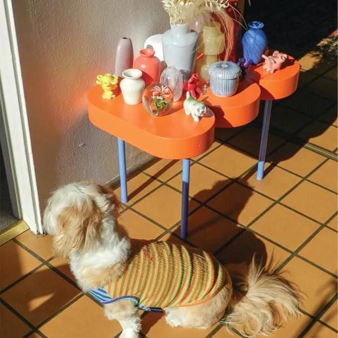 Little Beast Dog Clothes - Pet Clothes for Large, Medium and Small Dogs (Dog Shirts Come in Multiple Colors and Styles) - Size: XX-Small Dogs, Green/Orange