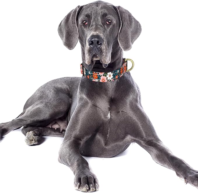 Reflective Dog Collar for Large Dogs, Cute Flower Theme Adjustable Heavy-Duty Nylon Puppy Collar for Boy and Girl Female, Soft Pet Accessories with Quick Release Buckle, Elegant Floral