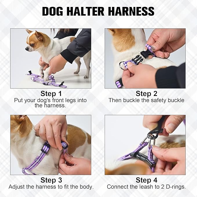 BEAUTYZOO No Pull Dog Harness and Leash Set - Adjustable Step-in Puppy Harness for Small Medium Large Dogs, Escape Proof Soft Nylon Vest with Double D Ring for Walking Running Training, Purple XS