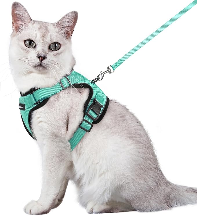 rabbitgoo Cat Harness and Leash for Walking, Escape Proof Soft Adjustable Vest Harnesses for Cats, Easy Control Breathable Reflective Strips Jacket, Emerald, M