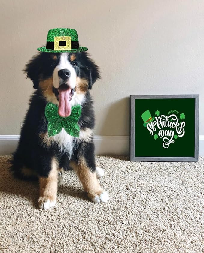 Dog St. Patrick's Day Costume, St Patricks Day Pet Outfit Green Shamrock Hat Bow Tie Collar for Small Medium Large Dogs (Green Buckle)