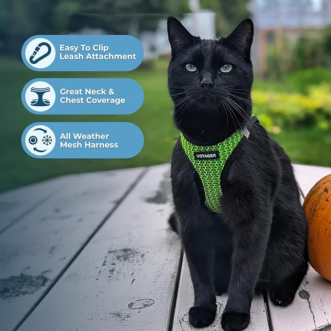 Voyager Step-in Air All Weather Mesh Harness and Reflective Dog 5 ft Leash Combo with Neoprene Handle, for Small, Medium and Large Breed Puppies by Best Pet Supplies - Lime Green (2-Tone), XS