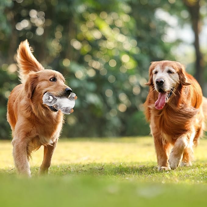 DODODOLA Dog Toys Plush Squirrel Stuffed Animals Chew Toy Soft Squeaky Gift for Small Medium Big Large Dogs Pet