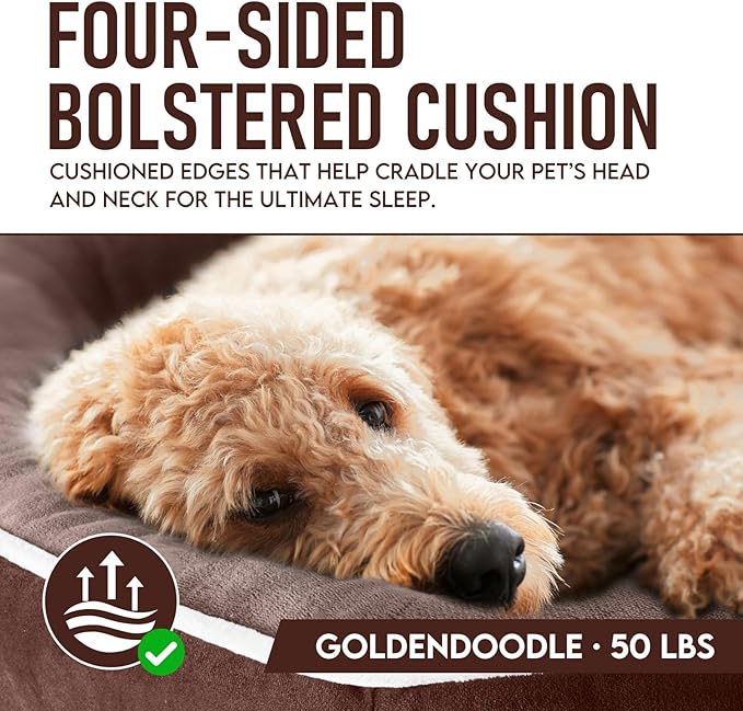 OhGeni Orthopedic Big Dog Couch X-Large Sized Pet Beds for Fathers Gifts with Comfort Foam Support, Soft Indestructible Fabric, Machine Washable Waterproof Removable Cover, 42-Inch (Brown)