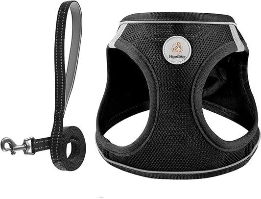 Dog Harness and Leash Set, No Pull Soft Mesh Pet Harness for Small Medium Dogs, Cats - Step in Adjustable Reflective Puppy Harness with Buckle and Double D-Rings - Black, S