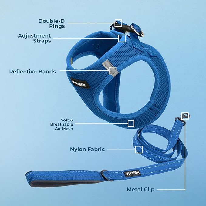 Voyager Step-in Air All Weather Mesh Harness and Reflective Dog 5 ft Leash Combo with Neoprene Handle, for Small, Medium and Large Breed Puppies by Best Pet Supplies - Set (Royal Blue), S