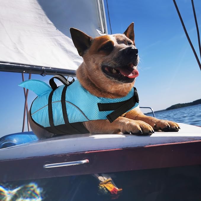 Queenmore Small Dog Life Jacket,Shark Dog Life Vest for Swimming,Puppy Light Life Preserver for Boating Kayaking Canoeing,Pet Lifesaver with High Buoyancy,Rescue Handle,Leash Hook (Peacock Blue,XS)