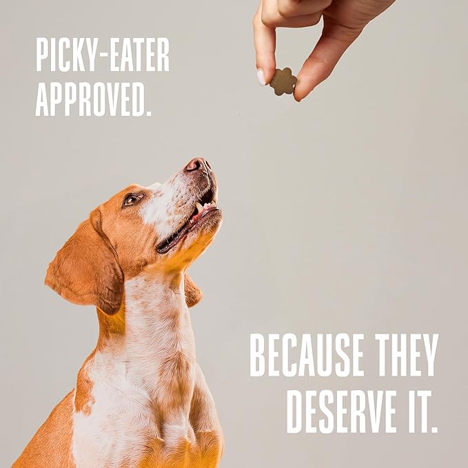 Whole Life Dog Living Treats for Dogs – Human Grade Probiotics for Digestive & Gut Health, Gas, Diarrhea, Vomit & Constipation Relief, Health Supplies - Peanut Butter, 3 oz (Pack of 1)