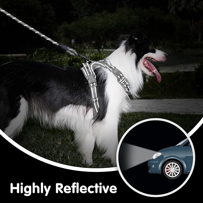 PoyPet No Pull Dog Harness and 5 Feet Leash Set, Release on Neck Reflective Adjustable Pet Vest, Front & Back 2 D-Ring and Soft Padded Pet Harness with Handle for Small to Large Dogs(Grey,M)