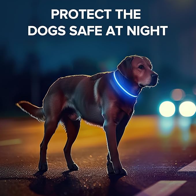 Led Dog Collar for Night Walking,Rechargeable Light Up Dog Collar Led Color,Glow in The Dark Dog Collars Waterproof for Small Medium Large Dogs(Blue, Medium)