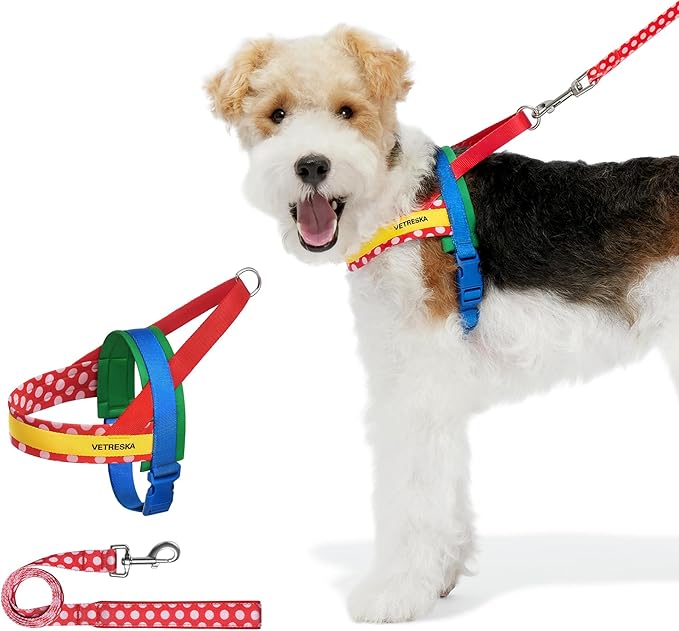 VETRESKA MoMA Dog Harness and Leash Set, No-Pull Puppy Harness for Walking and Training, Easy Walk Dog Harness for Small Medium Dogs, Adjustable, Take Control & Anti-Twist Pet Lead Combo (Red, S)