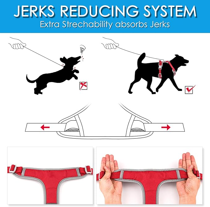 ThinkPet No Pull Harness Set Breathable Sport Harness with Handle - Reflective Padded Dog Safety Vest with Reflective Neon Dog Leash XL Harness Leash Pack Red