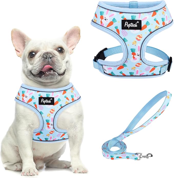 PUPTECK Soft Mesh Dog Harness and Leash Set Pet Puppy Cat Comfort Padded Vest No Pull Harnesses, Easter Blue, M