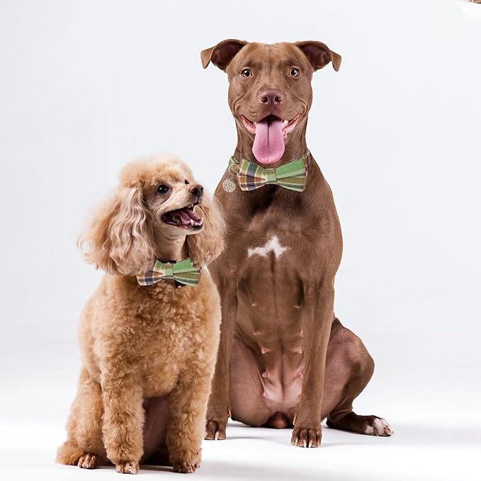 ADOGGYGO Plaid Dog Collar with Detachable Bowtie, Adjustable Soft Green Plaid Collars for Small Medium Large Dogs Pets (Large)