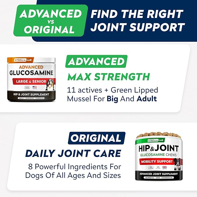 Advanced Glucosamine Chondroitin Joint Supplement for Dogs - Hip & Joint Pain Relief Pills - Green Lipped Mussel & Collagen - Large & Small Breed - Senior Dogs Joint Health - Bacon Flavor - 120Ct