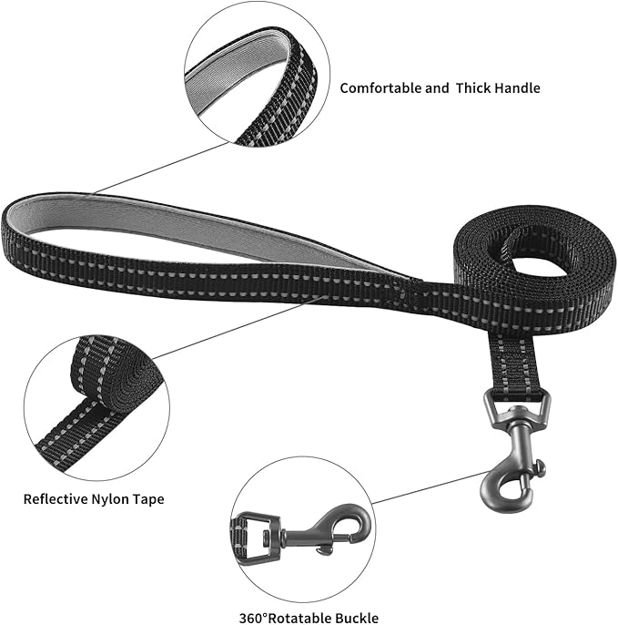 Dog Harness and Leash Set, No Pull Soft Mesh Pet Harness for Small Medium Dogs, Cats - Step in Adjustable Reflective Puppy Harness with Buckle and Double D-Rings - Black, XXS