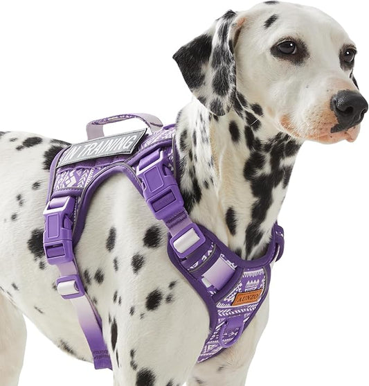 Service Dog Vest Harness with 2 Velcro Patches, No Pull Dog Harness for Walking Training Hiking, Metal D-Rings Easy on/Off Neck Buckle Reflective Strips Soft Padded Handle, Purple