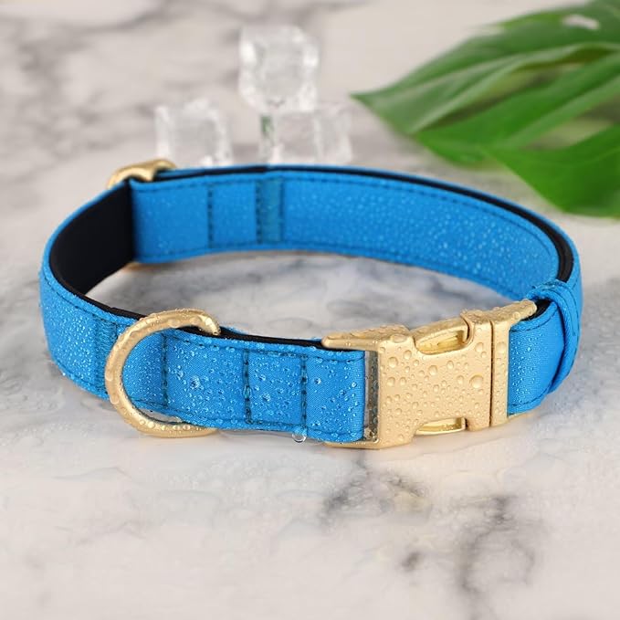 Didog Soft Padded Dog Collars for Small Dogs, Waterproof and Durable Pet Collar with Quick Release Buckle, Light and Breathable for Daily Walking,Blue,S(Neck:10-15")