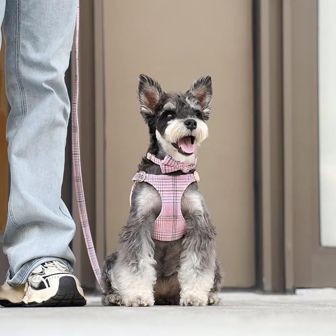 Beirui Cute Small Dog Harness Collar and Leash Set with Bowtie, Soft Adjustable Pink Puppy Harness for Small Sized Dogs Cats Walks Parties and Photoshoots(Pink,XXS:Chest 12-14")