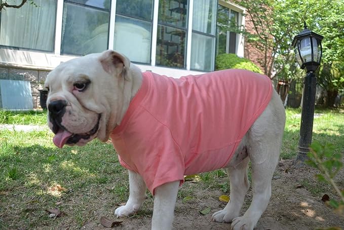 Lovelonglong Bulldog Clothes Dog Clothing Blank T-Shirt Tee Shirts for French Bulldog English Bulldog American Pit Bull Pugs 100% Cotton Skin Care Lotuspink B-XL