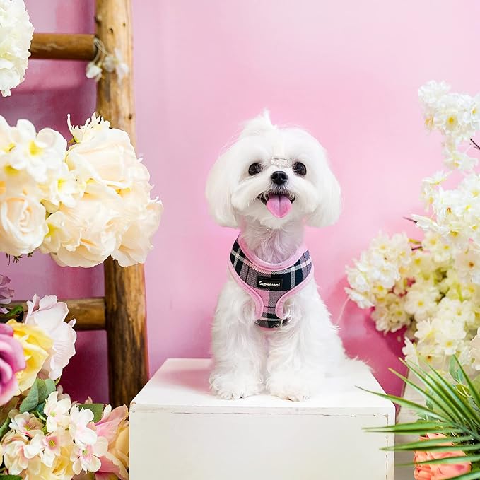 SCENEREAL Puppy Dog Harness with Leash Set for Small Medium Sized Dogs, Soft Mesh Step in Pet Harnesses and Leash, No Chock Plaid Adjustible No Pull Vest for Dogs Cats, Chihuahua,Bulldog (Pink M)